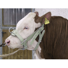 Bullenhalfter, Leder doppelt Bullenhalfter, Leder doppelt