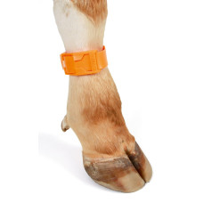Fesselband, Kunststoff orange