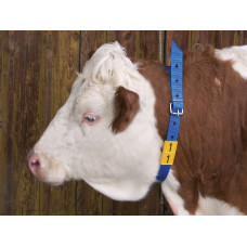 Markierungsband blau, 120 cm  mit 
