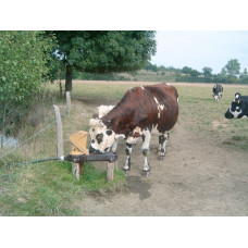 Weidepumpe Aquamat II für Milchküh