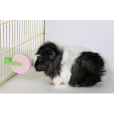 Salzleckstein 80 g mit Halter