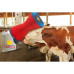 Kuhputzmaschine HAPPYCOW 1-fach mit PP Borsten Kuhputzmaschine HAPPYCOW 1-fach mit PP Borsten